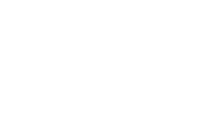 Frenzo Logo